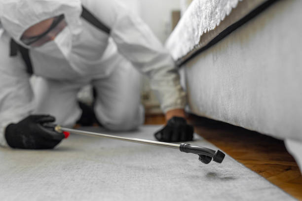 Professional Cockroach Control technician working in Belle Rose, LA