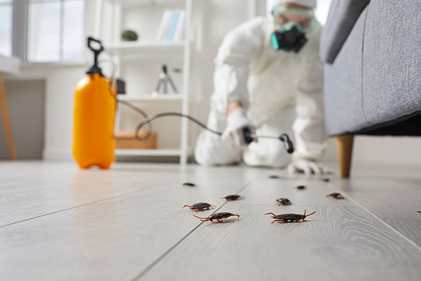 Affordable Cockroach Control solutions in Belle Rose, LA
